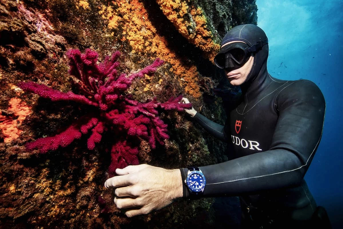 Tudor ambassador and professional free diver Morgan Bourchis wearing the Tudor Pelagos FXD