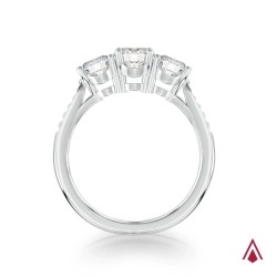 Memoire Platinum & Diamond Three Stone Engagement Ring Upright