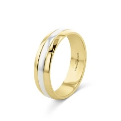 18ct Yellow Gold and Platinum Centre 6mm Wedding Band