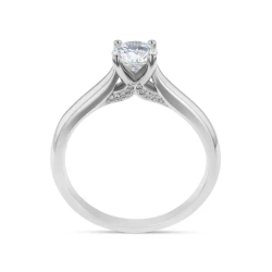 Alecia Platinum and Diamond Solitaire Engagement Ring Upright