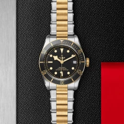 TUDOR Black Bay S&G 41mm Black Dial Watch full length
