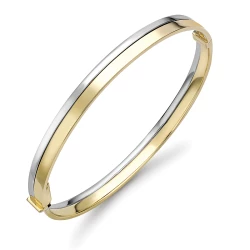 9ct Two Colour Gold Oval Bangle