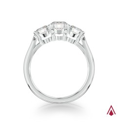 Platinum Trilogy Classic Design Engagement Ring - 1.10ct