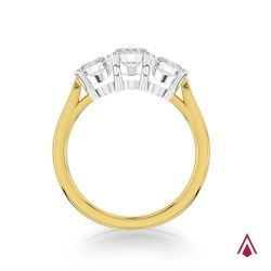 18ct Yellow Gold & Platinum Trilogy Classic Diamond Engagement Ring - 1.00ct