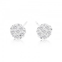 18ct White Gold & Diamond Cluster Earrings & Diamond Halo
