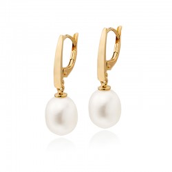 9ct Yellow Gold Freshwater Pearl Lever Back Earrings