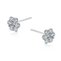 18ct White Gold 0.98ct Seven Diamond Cluster Earrings side View