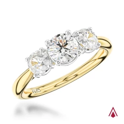 18ct Yellow Gold & Platinum Trilogy Classic Diamond Engagement Ring - 0.40ct