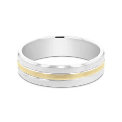 9ct White & Yellow Gold 6mm Wedding Ring