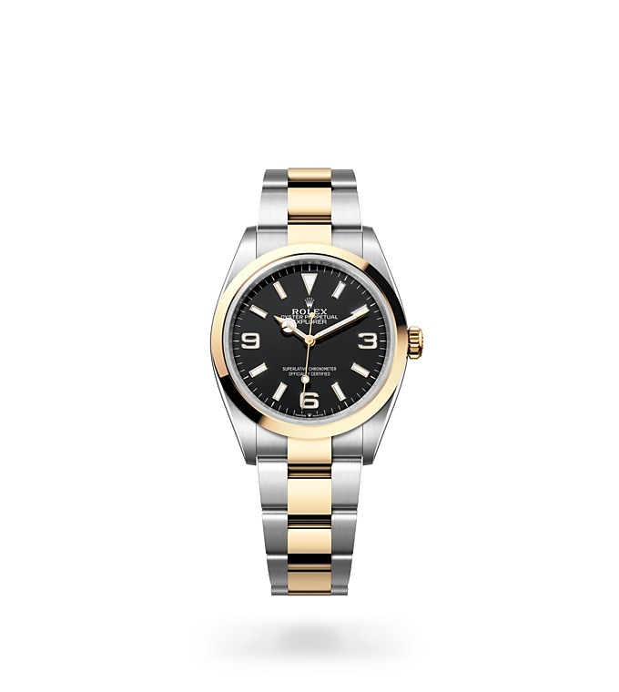 Rolex Explorer 36, Oyster, 36mm, Oystersteel and yellow gold, m124273-0001 at Baker Brothers
