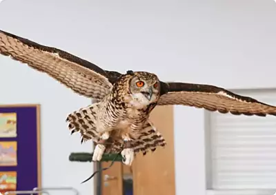 The Winners of our Animal Encounter